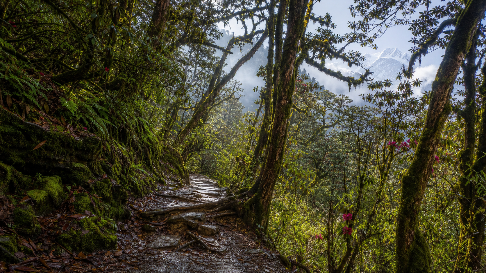 Mardi Himal Trekking super realistic image 2